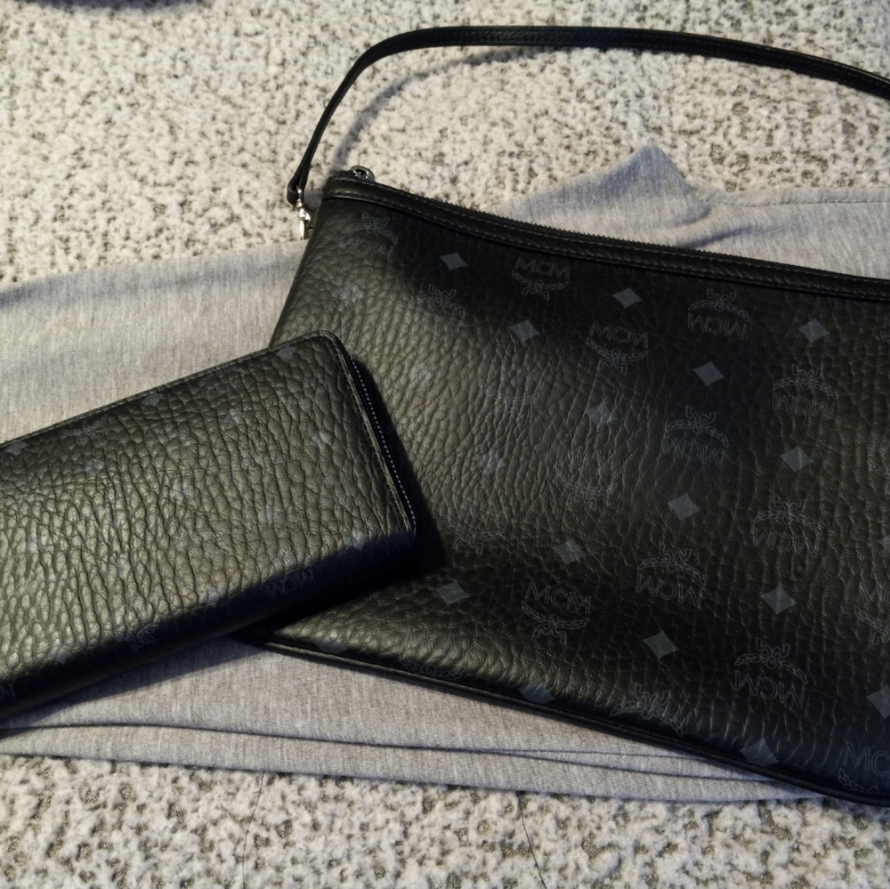 Pouch and wallet